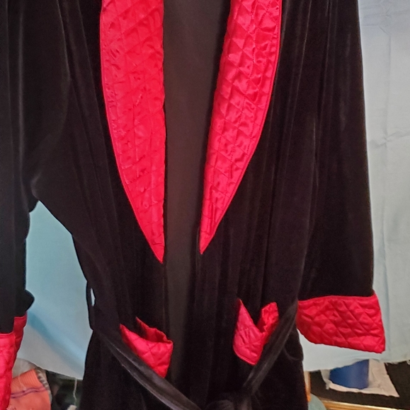 Evening Robe - Picture 4 of 5
